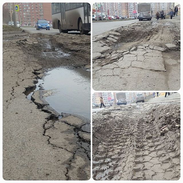 12930796_248036985544661_837942236_n